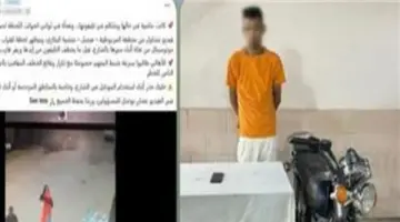القبض على المتهم بسرقة هاتف طالبة أثناء سيرها بالجيزة